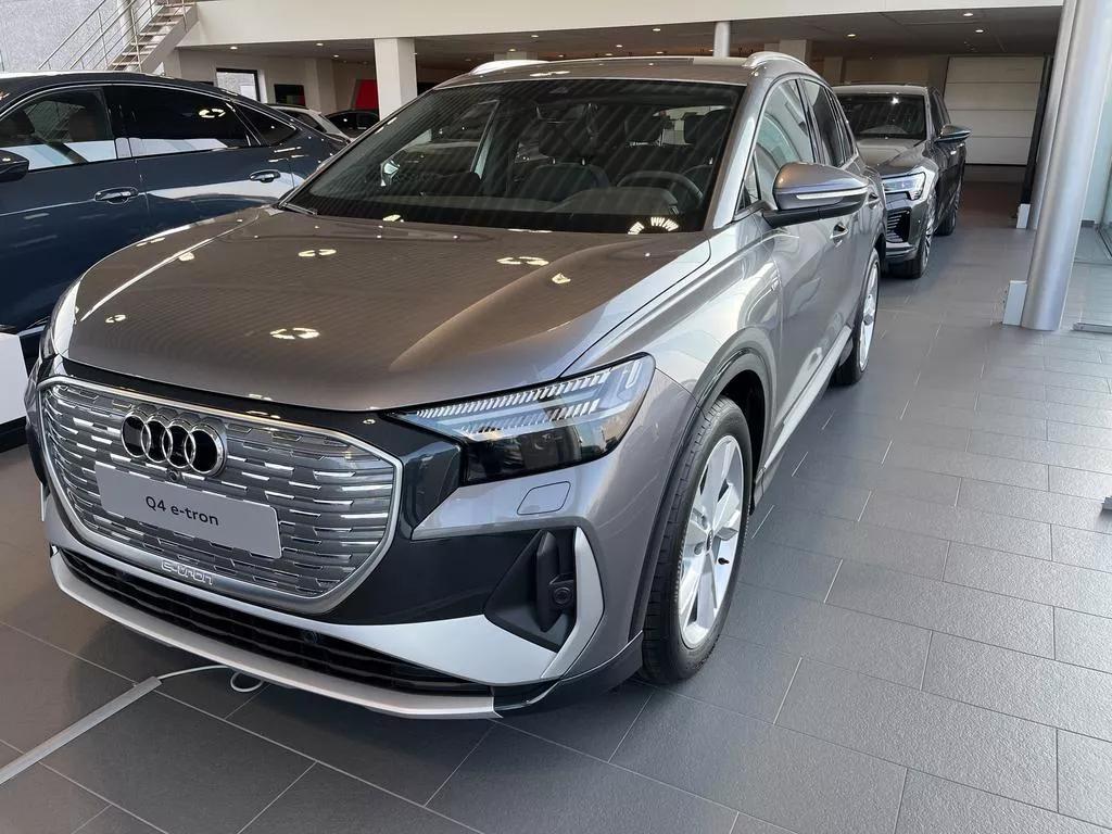 Audi Q4 e-tron grijs